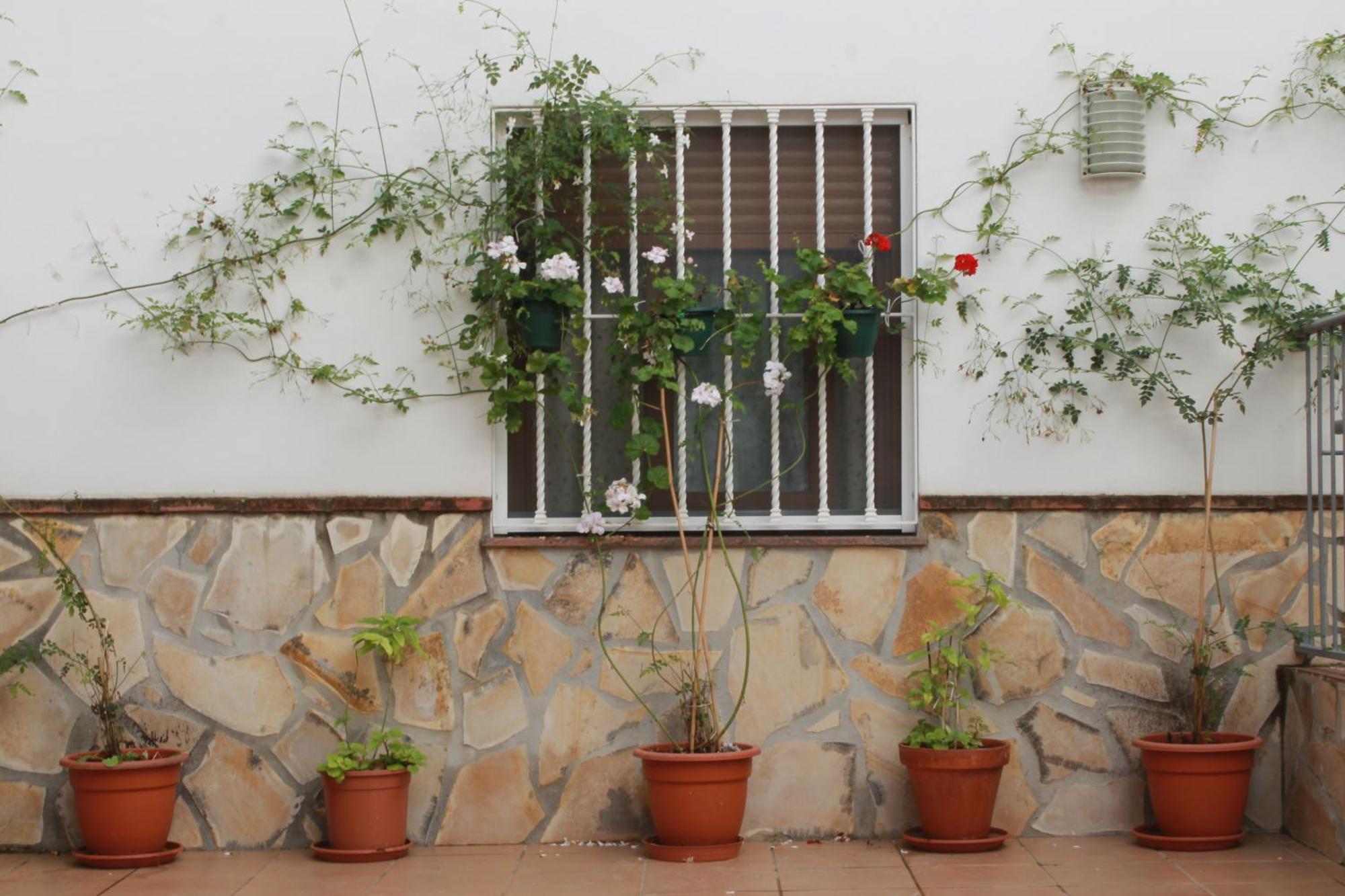 Ferienwohnung Casa Secreta Velez-Malaga Centro Exterior foto