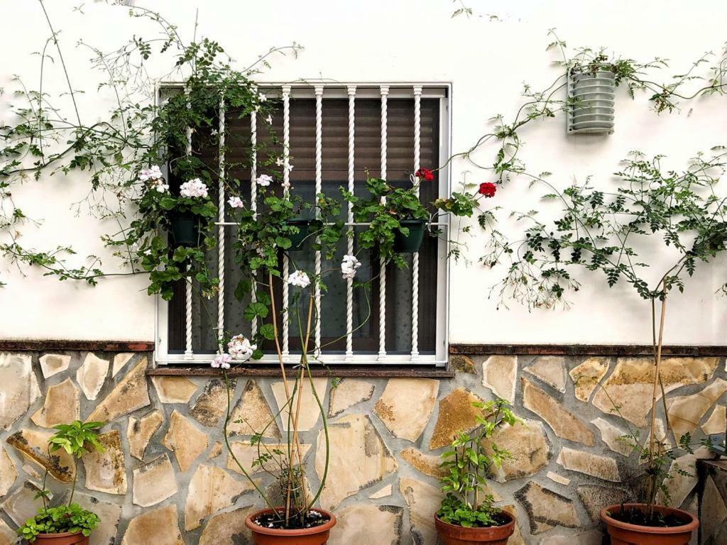 Ferienwohnung Casa Secreta Velez-Malaga Centro Exterior foto